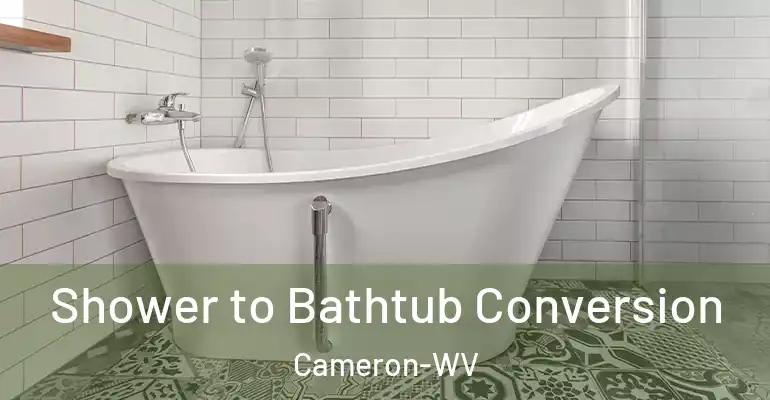 inner Bathroom imggen Shower to Bathtub Conversion Cameron-WV