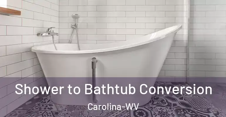inner Bathroom imggen Shower to Bathtub Conversion Carolina-WV