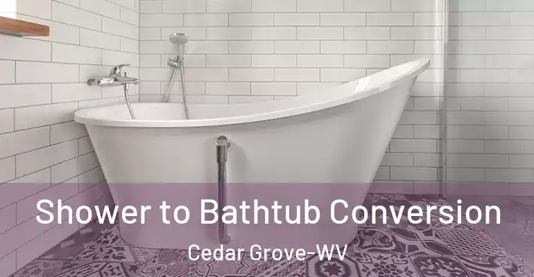 inner Bathroom imggen Shower to Bathtub Conversion Cedar Grove-WV