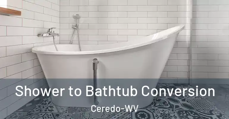 inner Bathroom imggen Shower to Bathtub Conversion Ceredo-WV