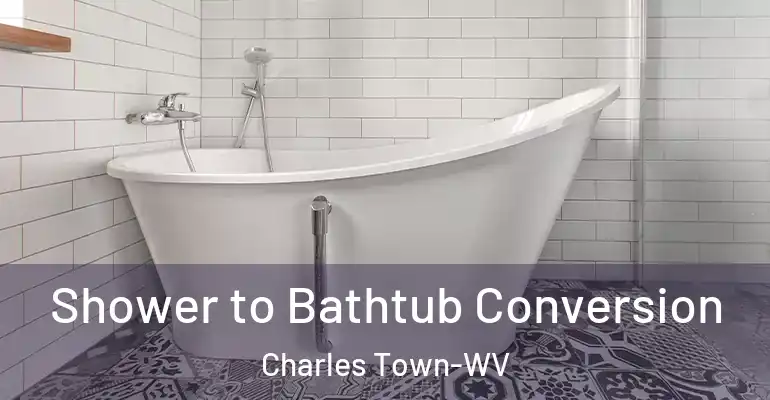inner Bathroom imggen Shower to Bathtub Conversion Charles Town-WV