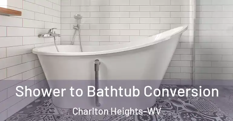 inner Bathroom imggen Shower to Bathtub Conversion Charlton Heights-WV
