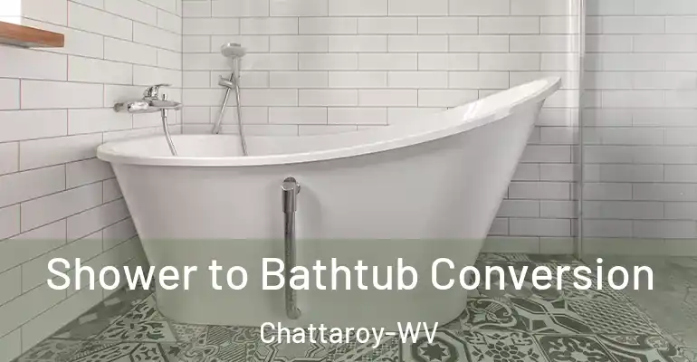 inner Bathroom imggen Shower to Bathtub Conversion Chattaroy-WV