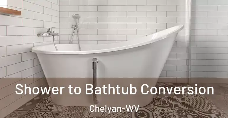inner Bathroom imggen Shower to Bathtub Conversion Chelyan-WV