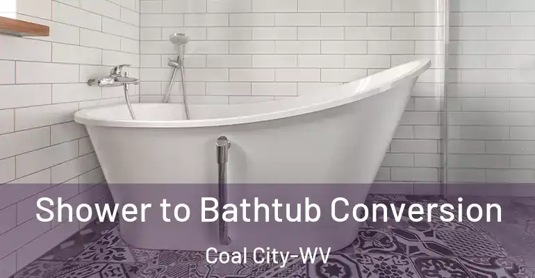 inner Bathroom imggen Shower to Bathtub Conversion Coal City-WV