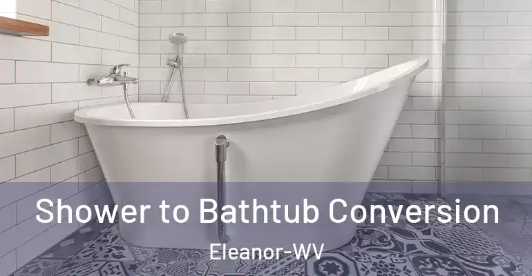 inner Bathroom imggen Shower to Bathtub Conversion Eleanor-WV