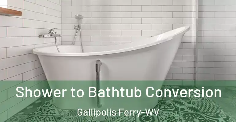 inner Bathroom imggen Shower to Bathtub Conversion Gallipolis Ferry-WV
