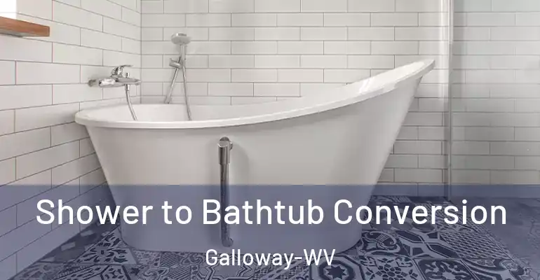 inner Bathroom imggen Shower to Bathtub Conversion Galloway-WV