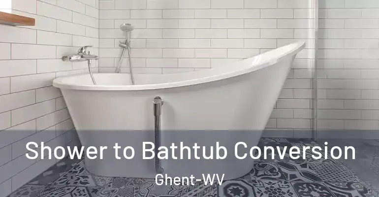 inner Bathroom imggen Shower to Bathtub Conversion Ghent-WV