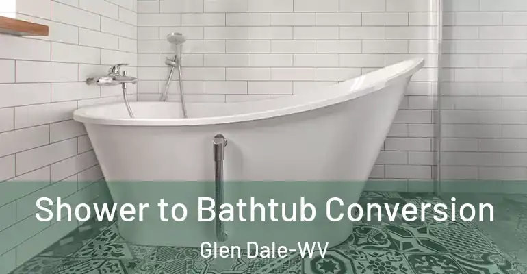 inner Bathroom imggen Shower to Bathtub Conversion Glen Dale-WV