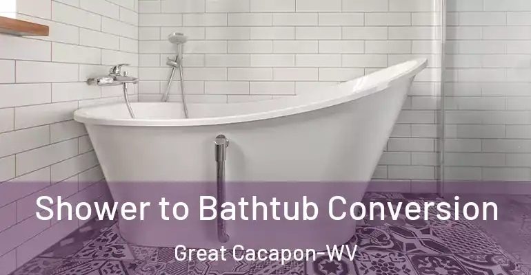 inner Bathroom imggen Shower to Bathtub Conversion Great Cacapon-WV