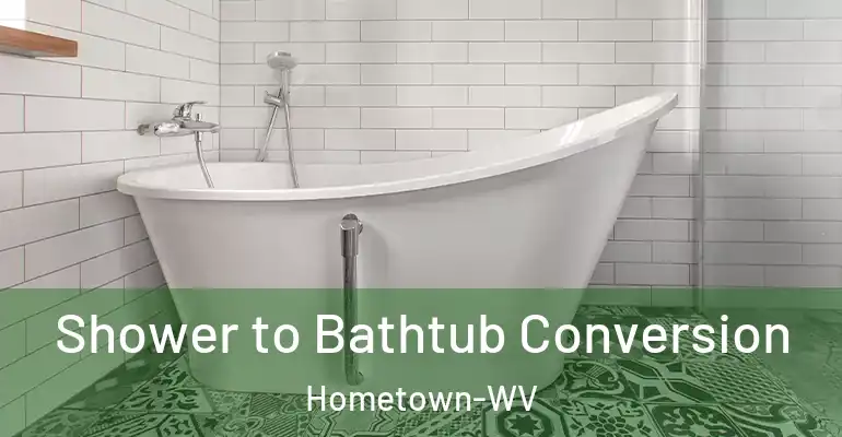 inner Bathroom imggen Shower to Bathtub Conversion Hometown-WV