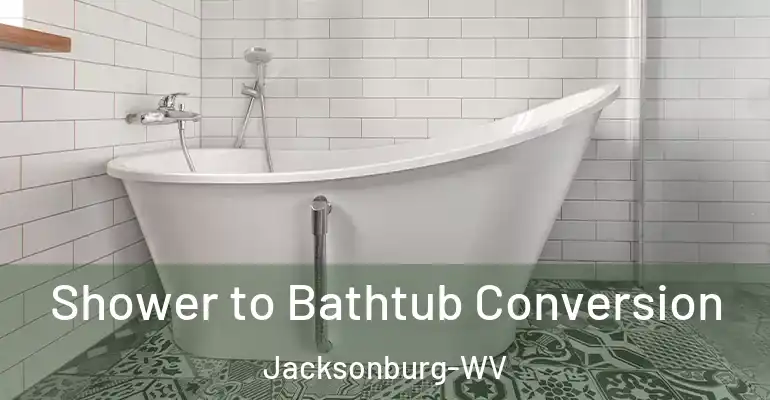inner Bathroom imggen Shower to Bathtub Conversion Jacksonburg-WV