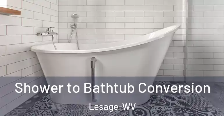 inner Bathroom imggen Shower to Bathtub Conversion Lesage-WV