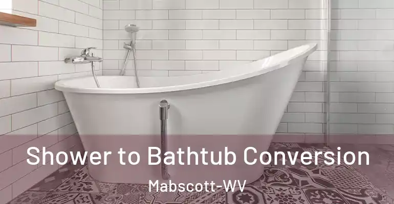 inner Bathroom imggen Shower to Bathtub Conversion Mabscott-WV
