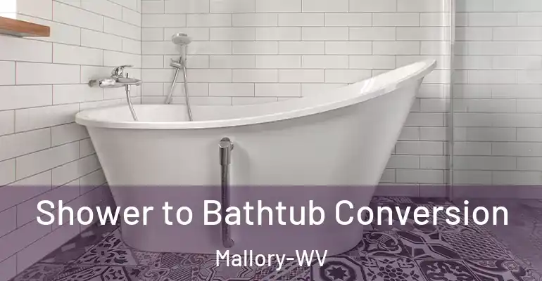 inner Bathroom imggen Shower to Bathtub Conversion Mallory-WV