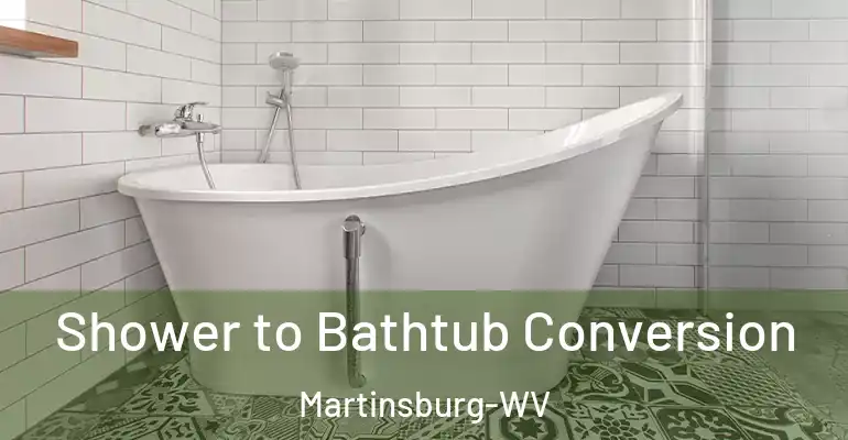 inner Bathroom imggen Shower to Bathtub Conversion Martinsburg-WV