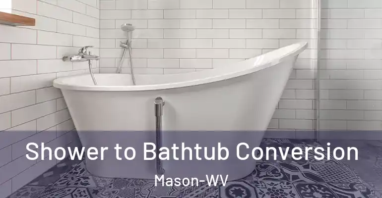 inner Bathroom imggen Shower to Bathtub Conversion Mason-WV