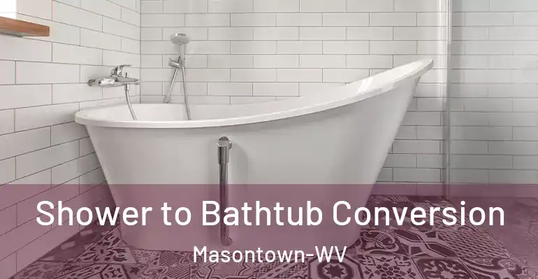 inner Bathroom imggen Shower to Bathtub Conversion Masontown-WV