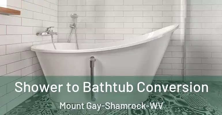 inner Bathroom imggen Shower to Bathtub Conversion Mount Gay-Shamrock-WV