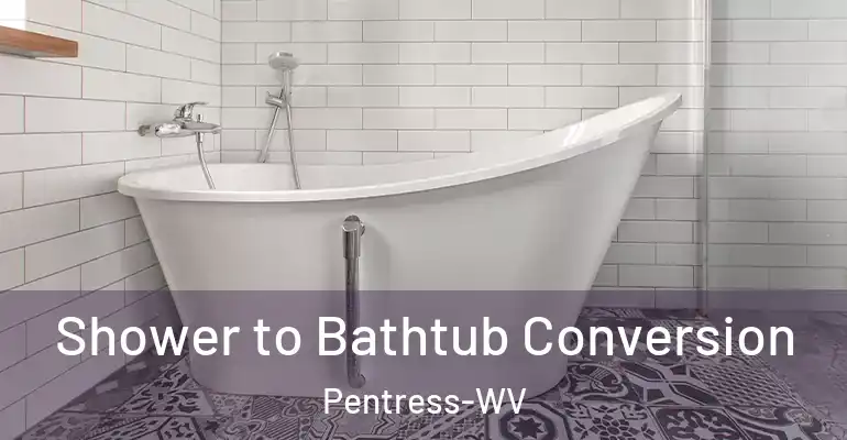 inner Bathroom imggen Shower to Bathtub Conversion Pentress-WV