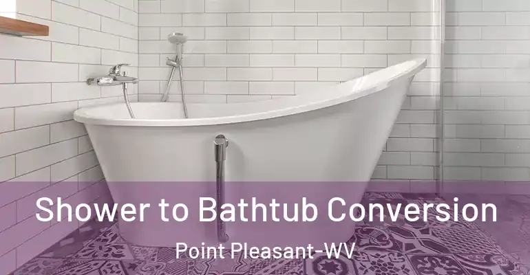 inner Bathroom imggen Shower to Bathtub Conversion Point Pleasant-WV