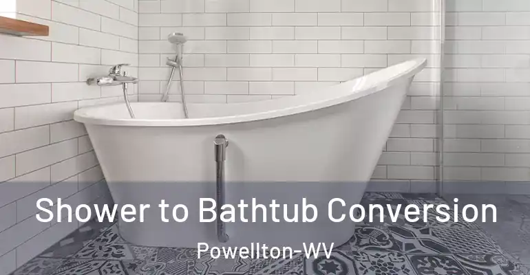 inner Bathroom imggen Shower to Bathtub Conversion Powellton-WV