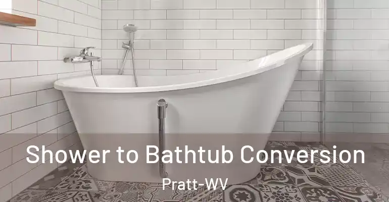 inner Bathroom imggen Shower to Bathtub Conversion Pratt-WV