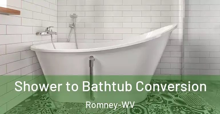 inner Bathroom imggen Shower to Bathtub Conversion Romney-WV