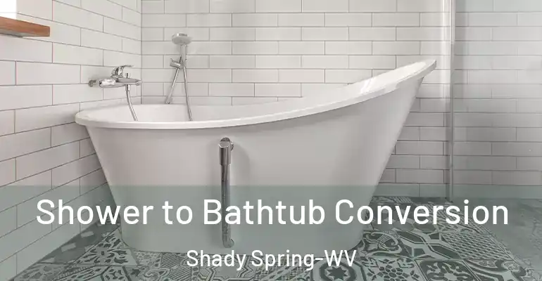 inner Bathroom imggen Shower to Bathtub Conversion Shady Spring-WV