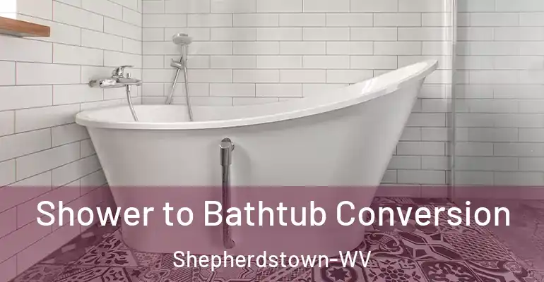 inner Bathroom imggen Shower to Bathtub Conversion Shepherdstown-WV