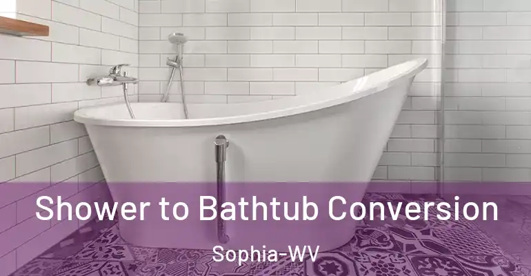 inner Bathroom imggen Shower to Bathtub Conversion Sophia-WV