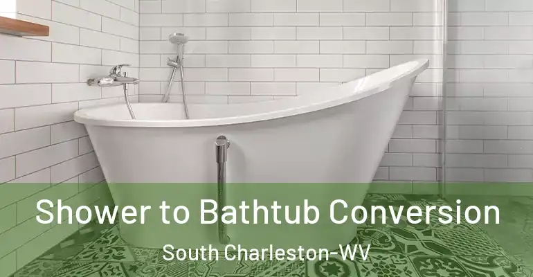 inner Bathroom imggen Shower to Bathtub Conversion South Charleston-WV