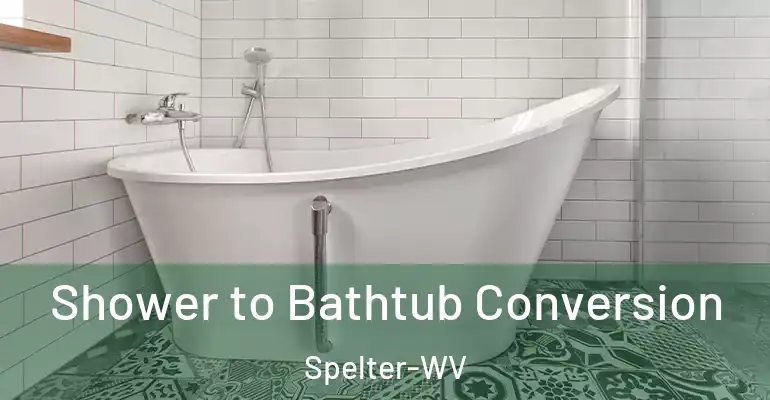 inner Bathroom imggen Shower to Bathtub Conversion Spelter-WV