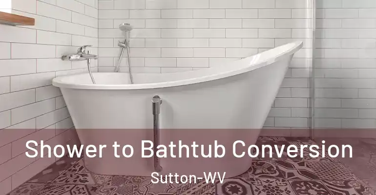 inner Bathroom imggen Shower to Bathtub Conversion Sutton-WV