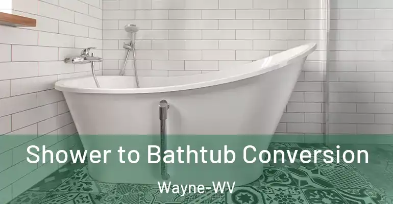 inner Bathroom imggen Shower to Bathtub Conversion Wayne-WV