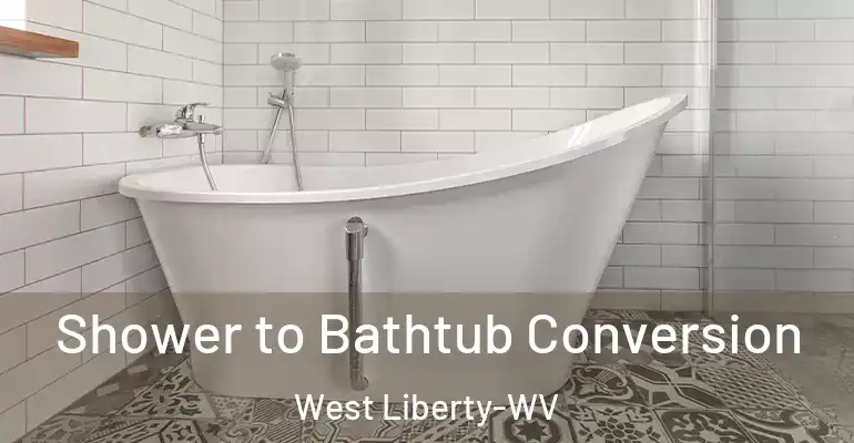 inner Bathroom imggen Shower to Bathtub Conversion West Liberty-WV