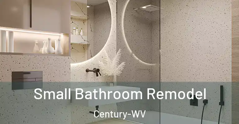 inner Bathroom imggen Small Bathroom Remodel Century-WV