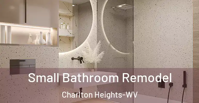 inner Bathroom imggen Small Bathroom Remodel Charlton Heights-WV