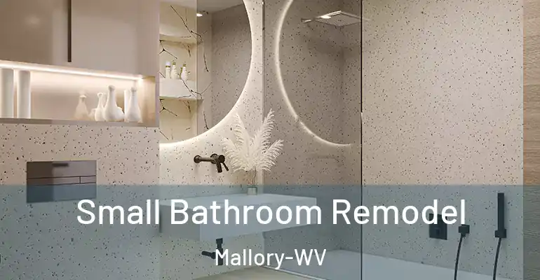 inner Bathroom imggen Small Bathroom Remodel Mallory-WV