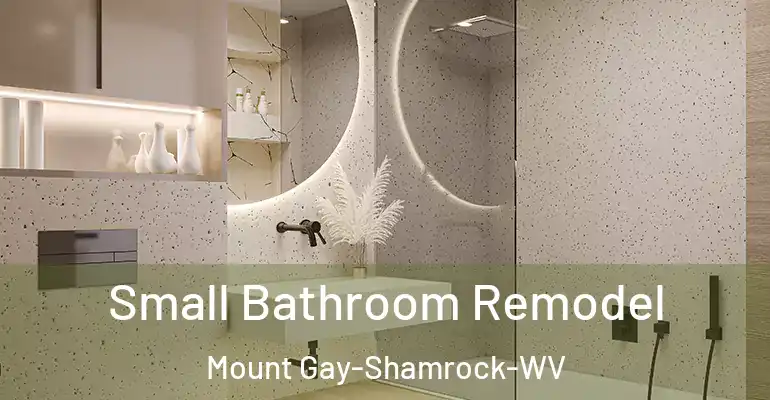 inner Bathroom imggen Small Bathroom Remodel Mount Gay-Shamrock-WV
