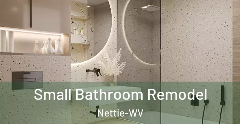 inner Bathroom imggen Small Bathroom Remodel Nettie-WV