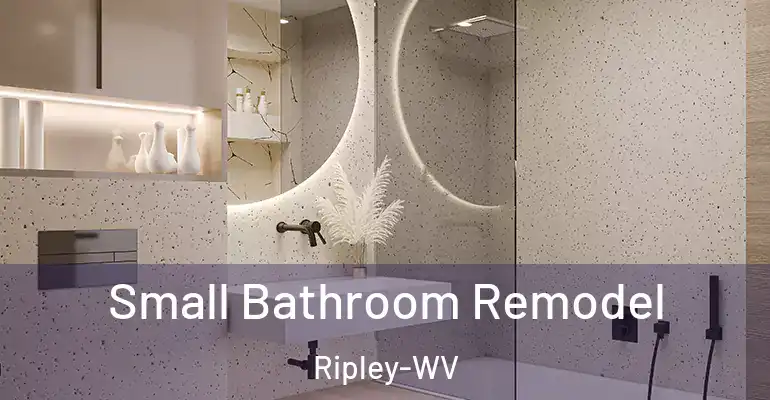 inner Bathroom imggen Small Bathroom Remodel Ripley-WV
