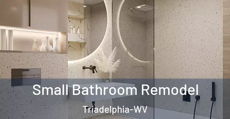 inner Bathroom imggen Small Bathroom Remodel Triadelphia-WV