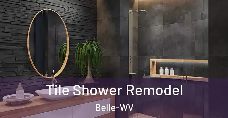 inner Bathroom imggen Tile Shower Remodel Belle-WV