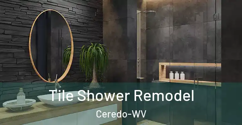 inner Bathroom imggen Tile Shower Remodel Ceredo-WV