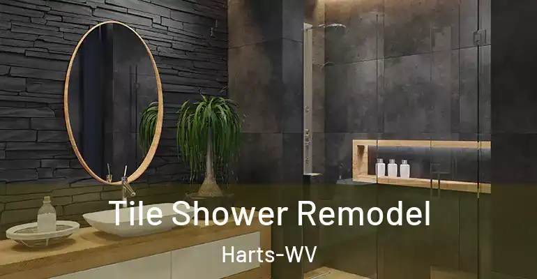 inner Bathroom imggen Tile Shower Remodel Harts-WV