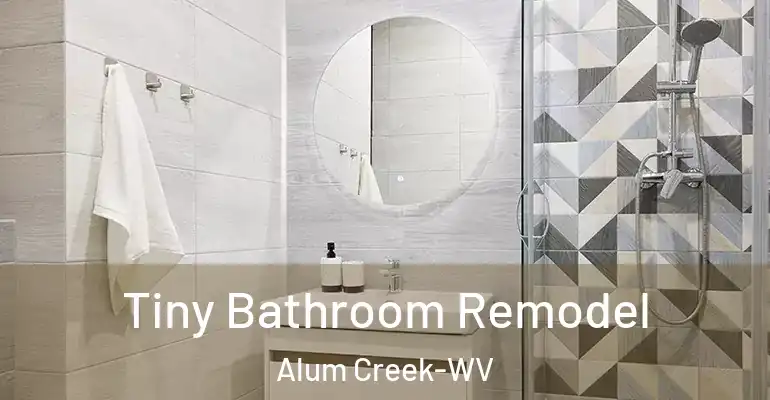 inner Bathroom imggen Tiny Bathroom Remodel Alum Creek-WV