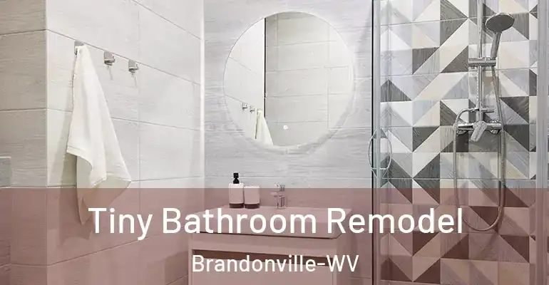 inner Bathroom imggen Tiny Bathroom Remodel Brandonville-WV