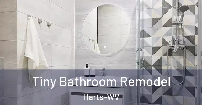 inner Bathroom imggen Tiny Bathroom Remodel Harts-WV